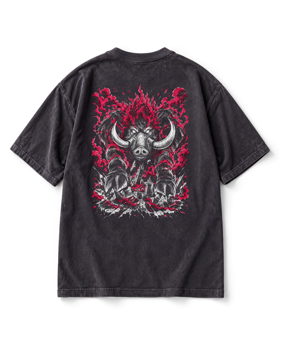 Calamity — Ganon Vintage Tee