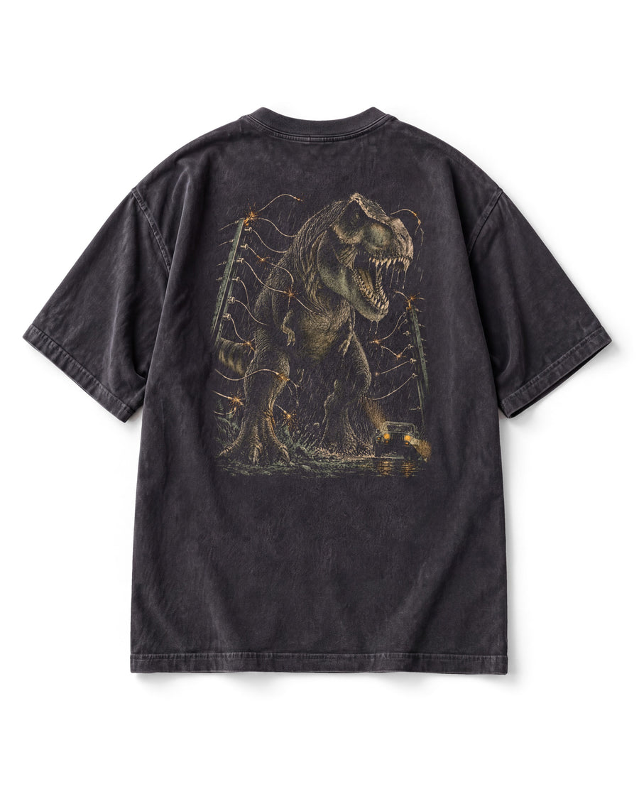The Fence — T. rex Vintage Tee